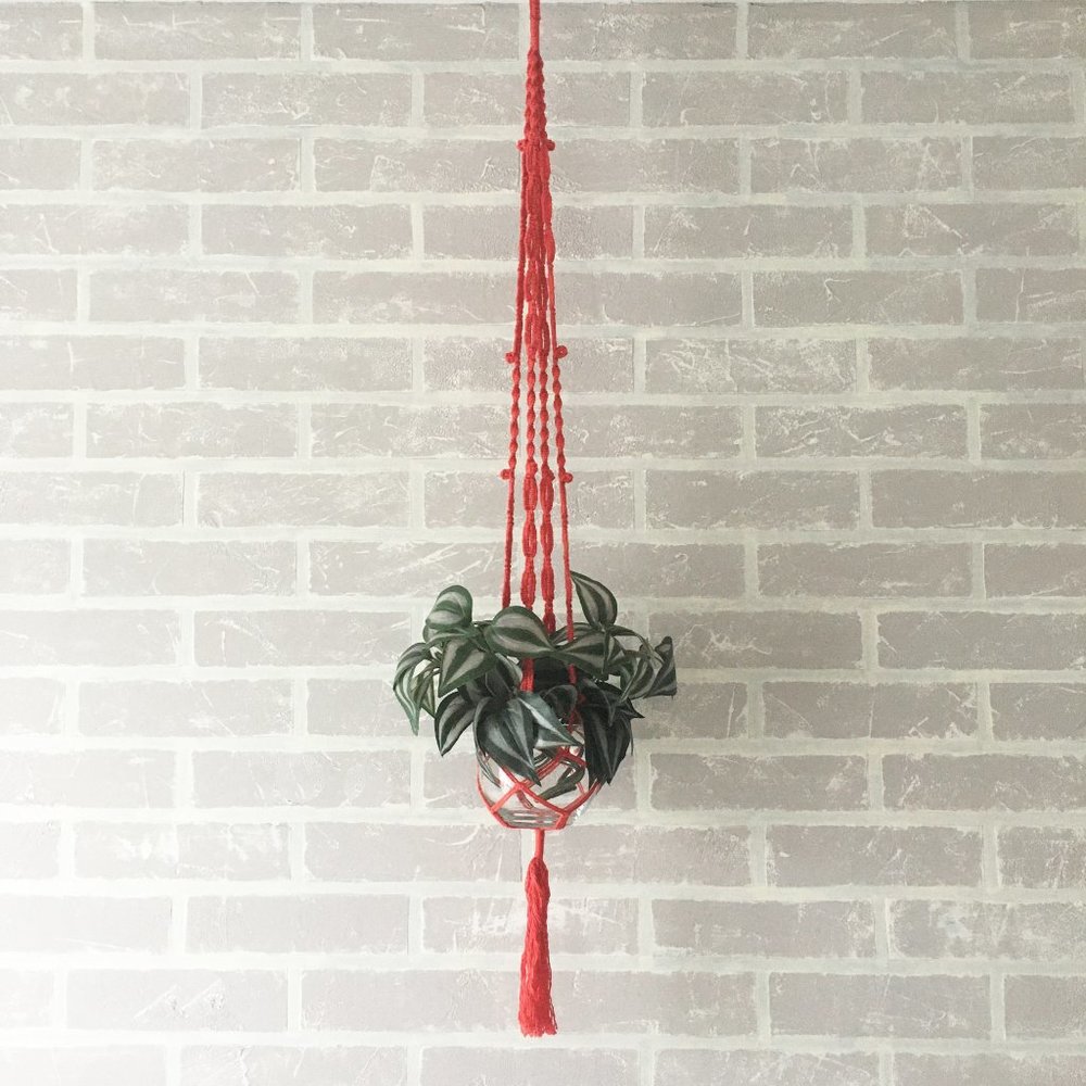 Handmade red cotton macrame plant  hanger. - Picture 4 of 8